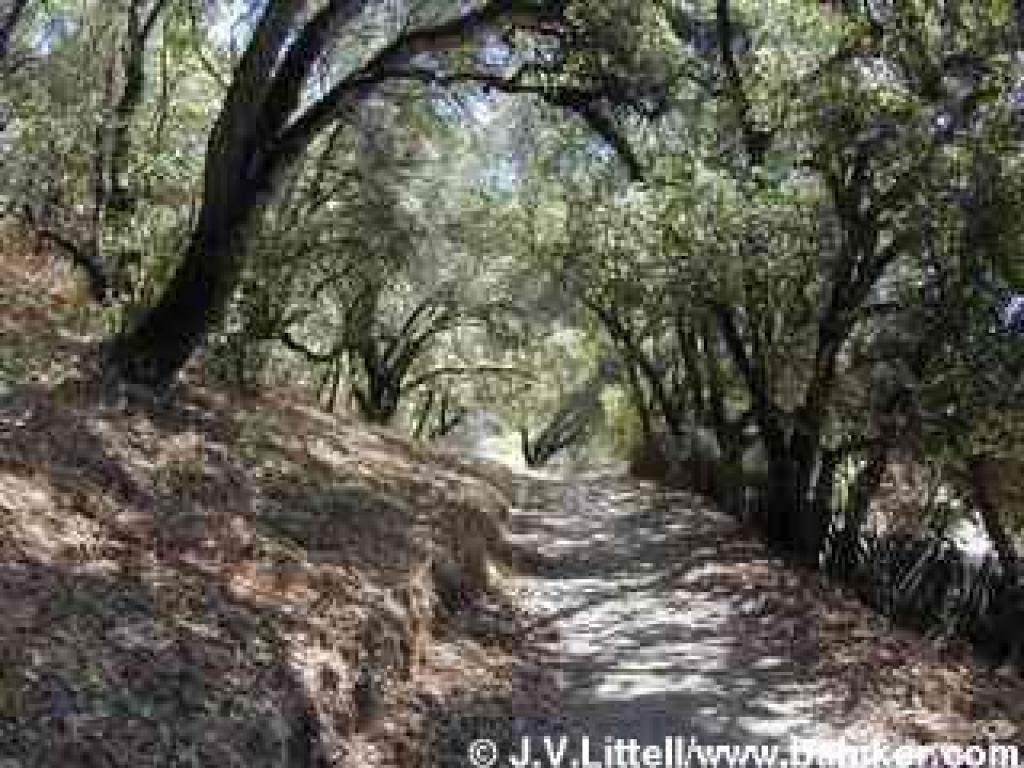 Returning to the trailhead