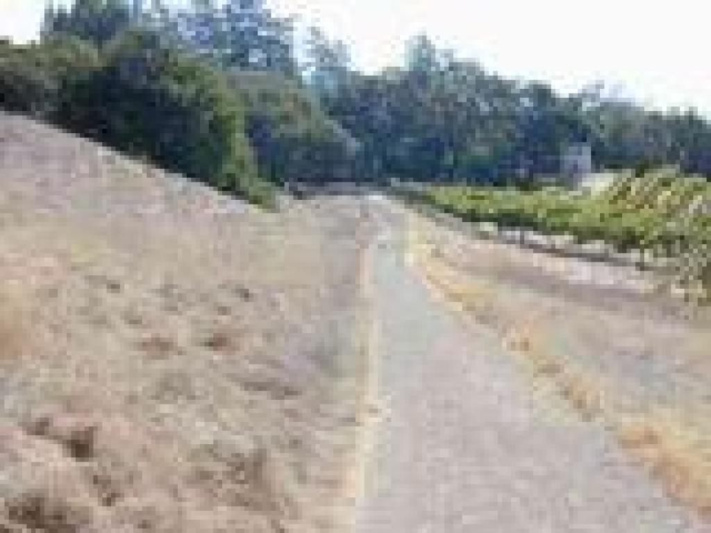 Bigleag Trail skirts a vineyard near the park border