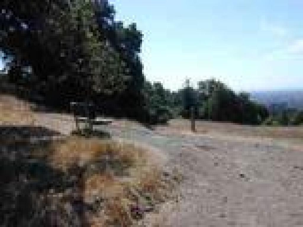 Junction
