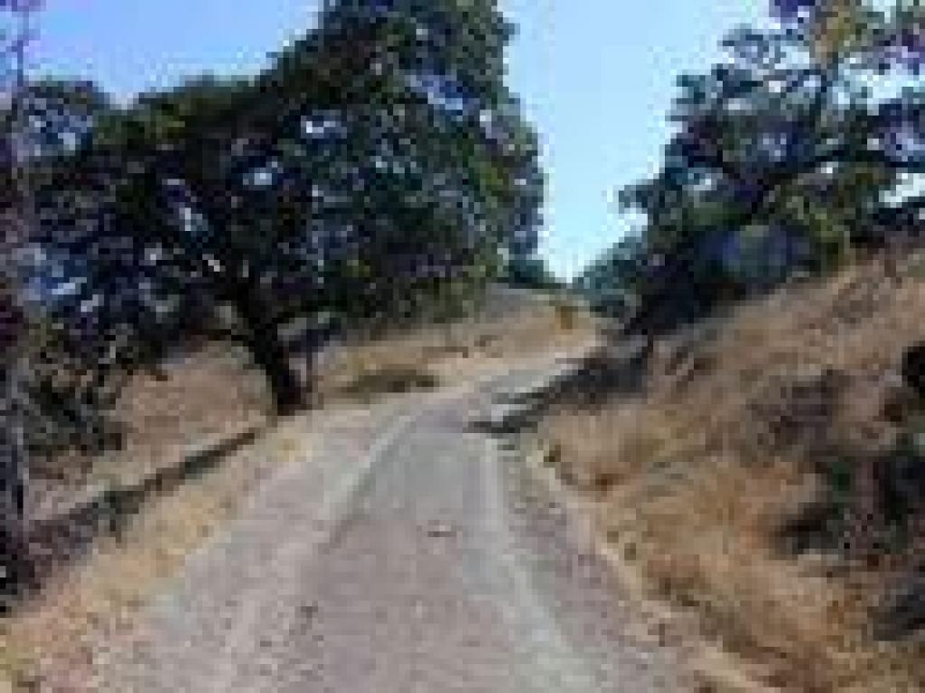 Ridge Trail