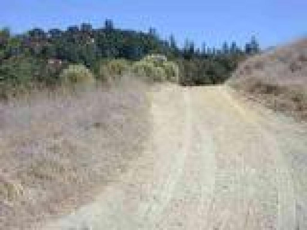 Trail crests, then drops gently downhill