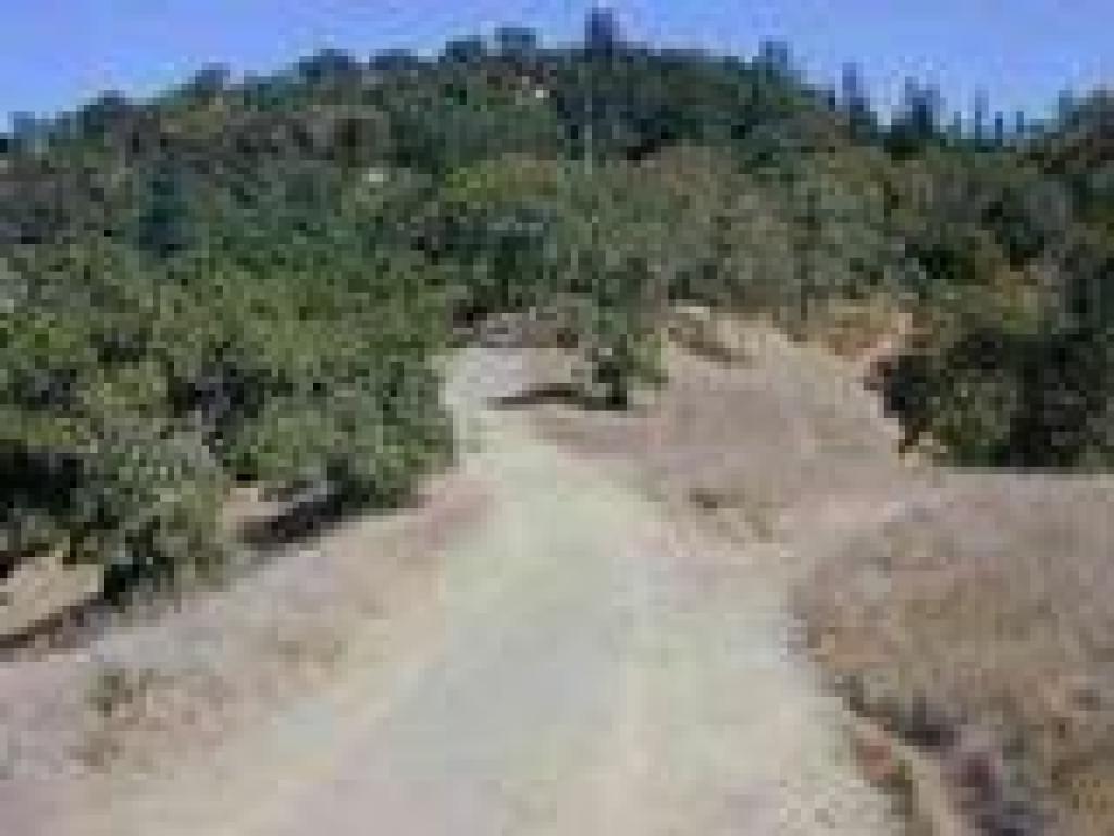 Shiloh Ranch