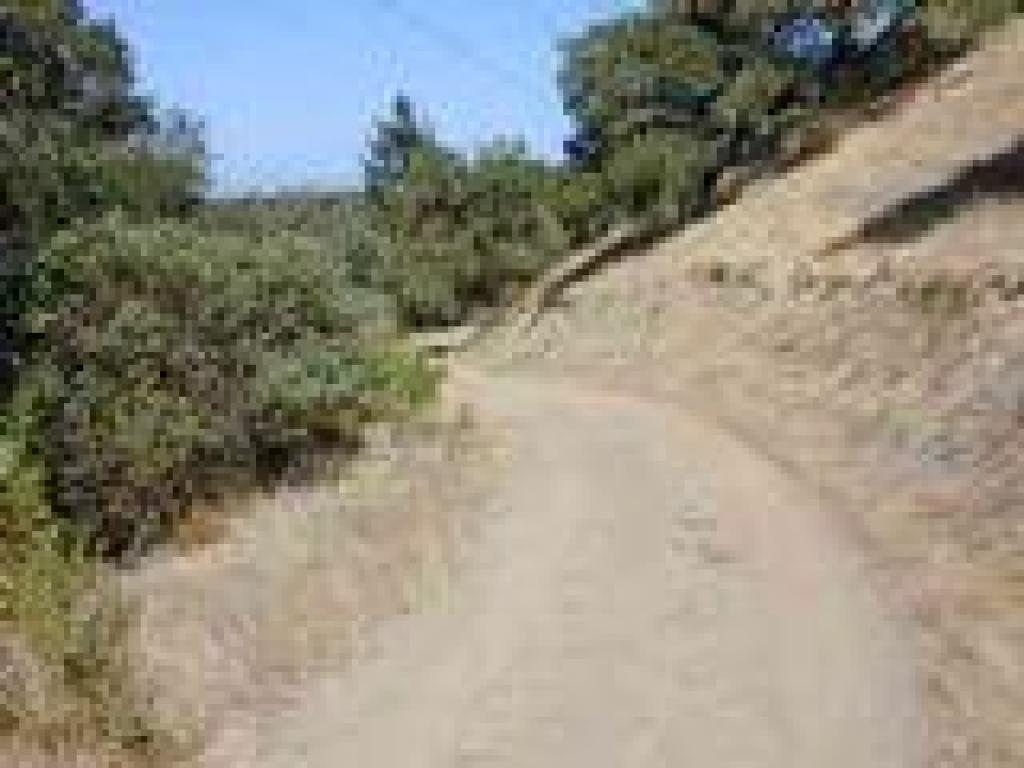 Ridge Trail