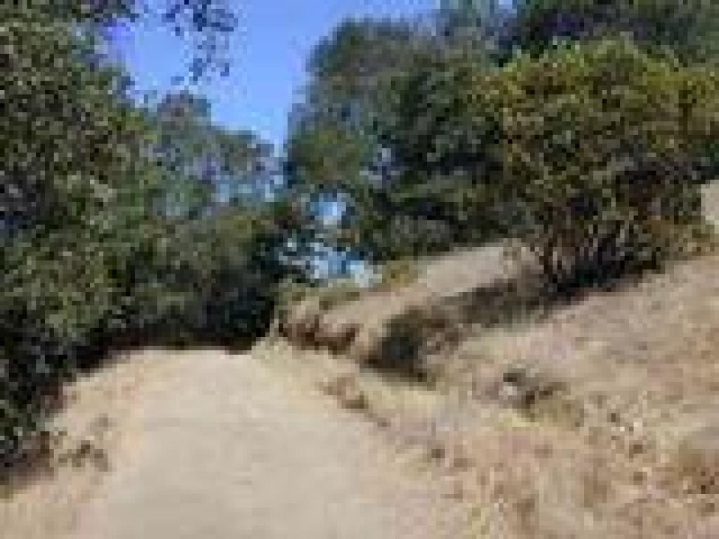 Pond Trail