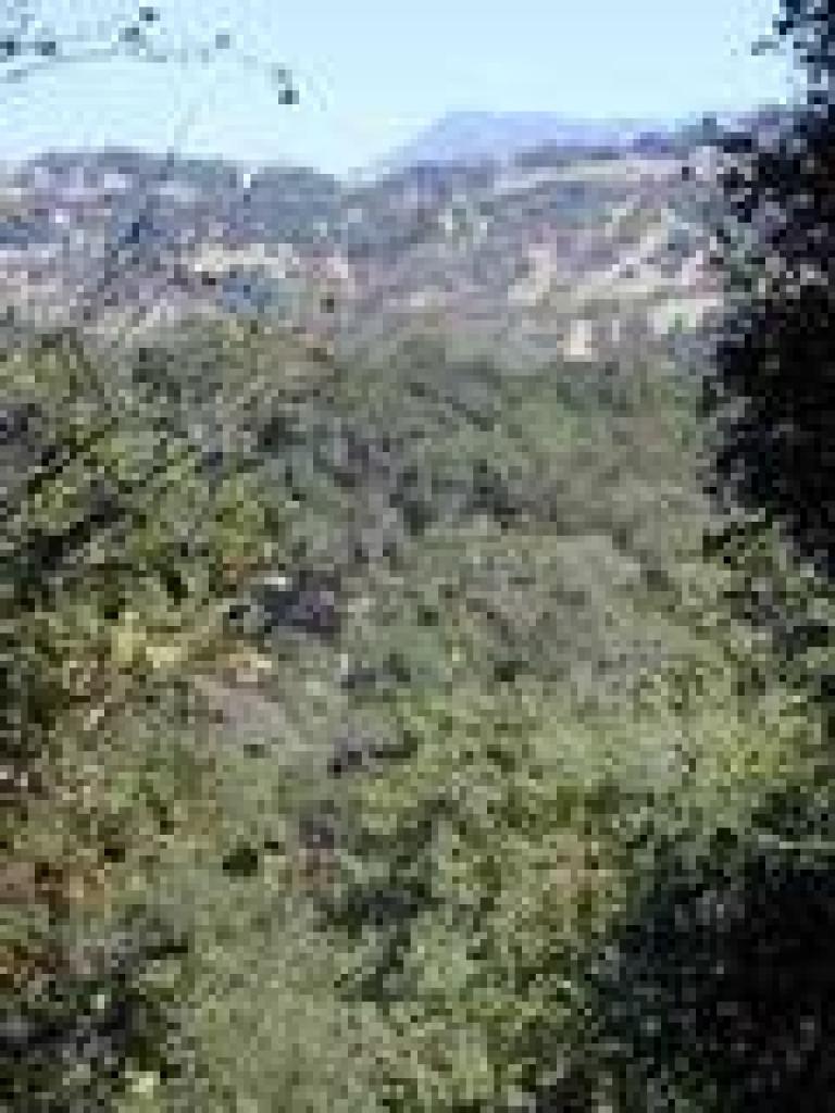 Glimpse of Mount Saint Helena