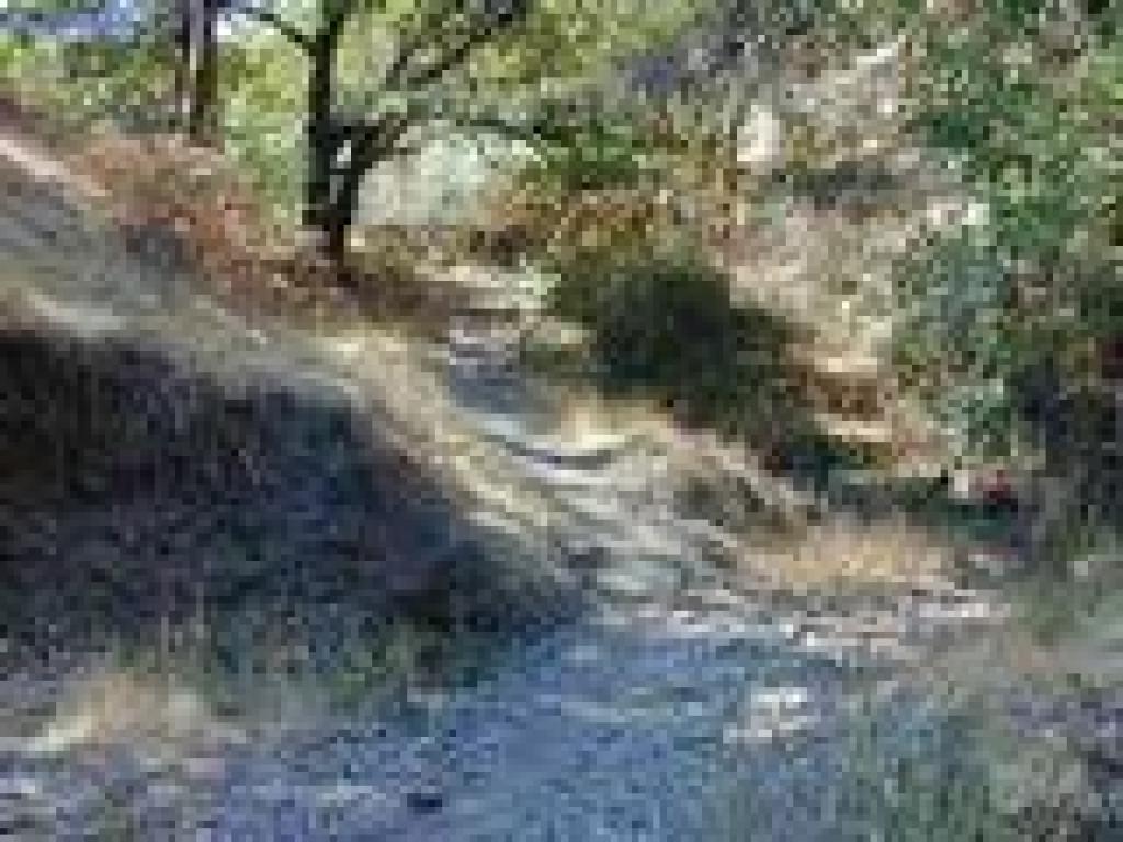 Crossing a creekbed