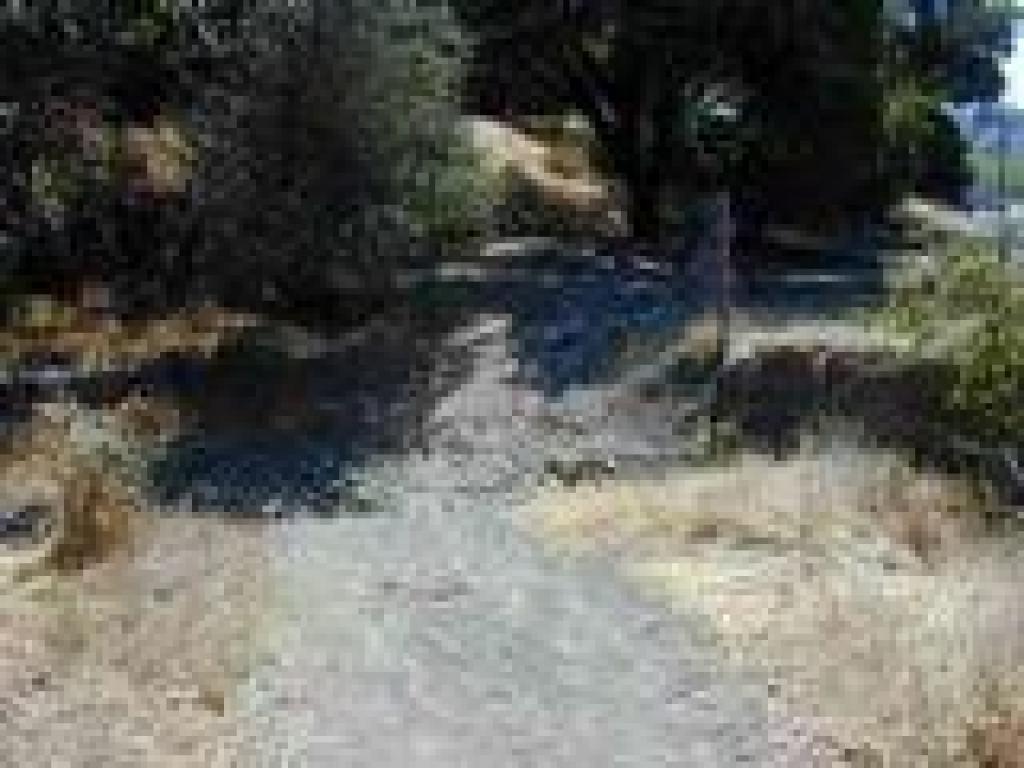 Creek and junction