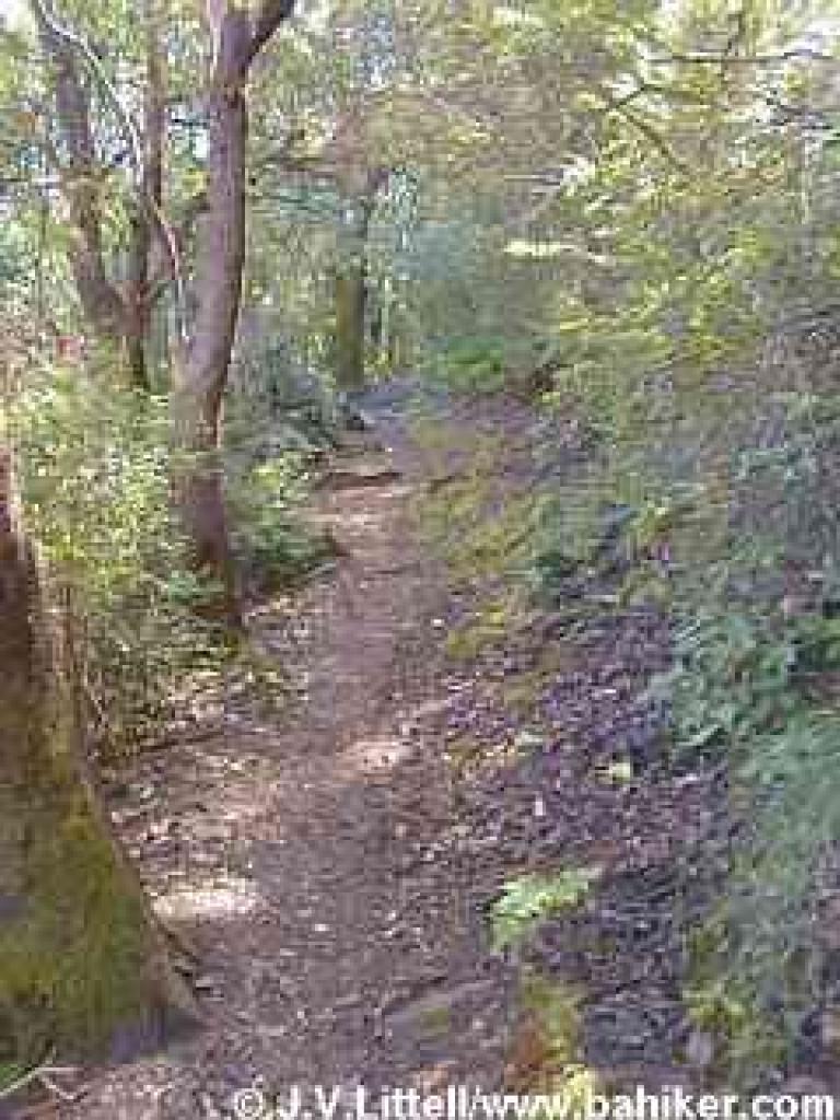 Photo of Pilot Knob Trail