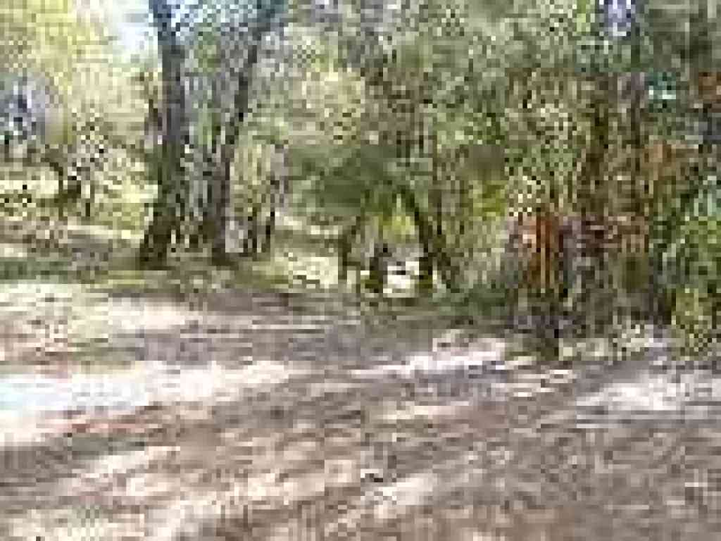 Junction