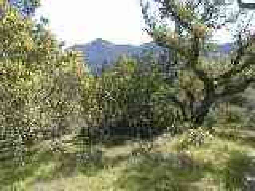 View of Tam