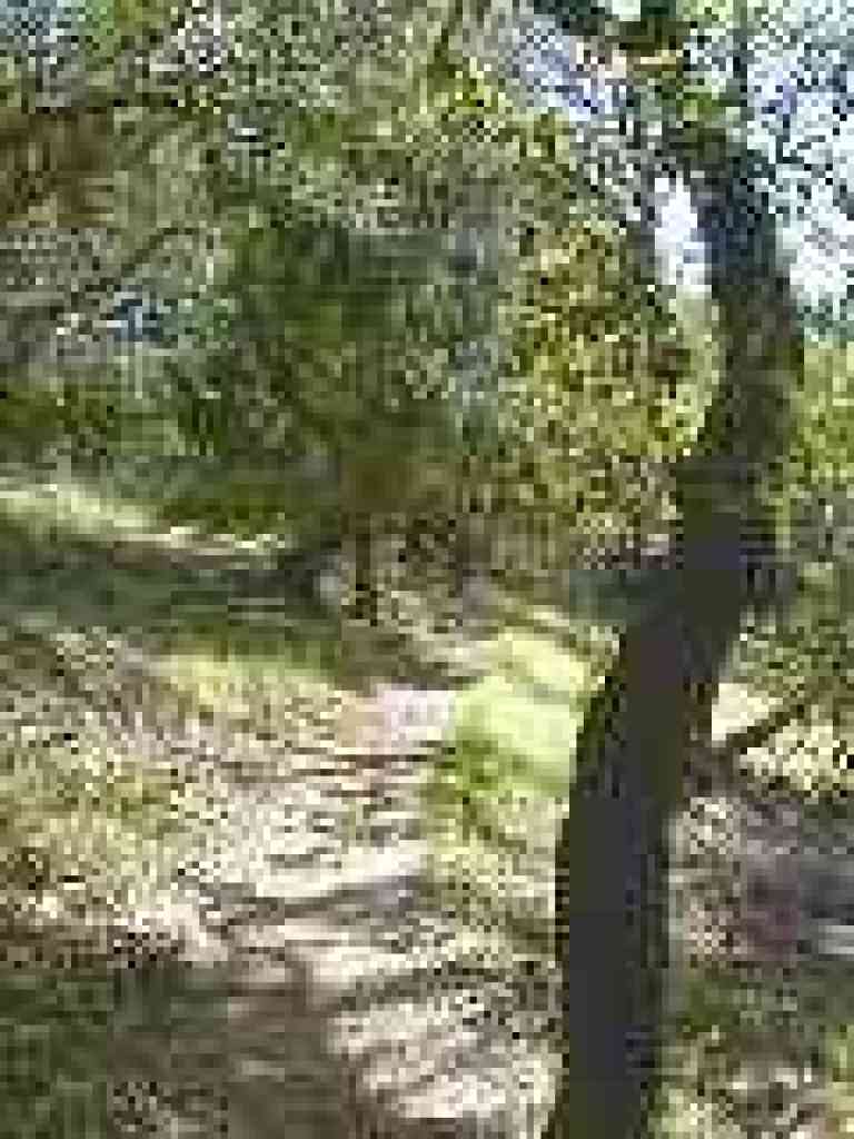 Pilot Knob Trail