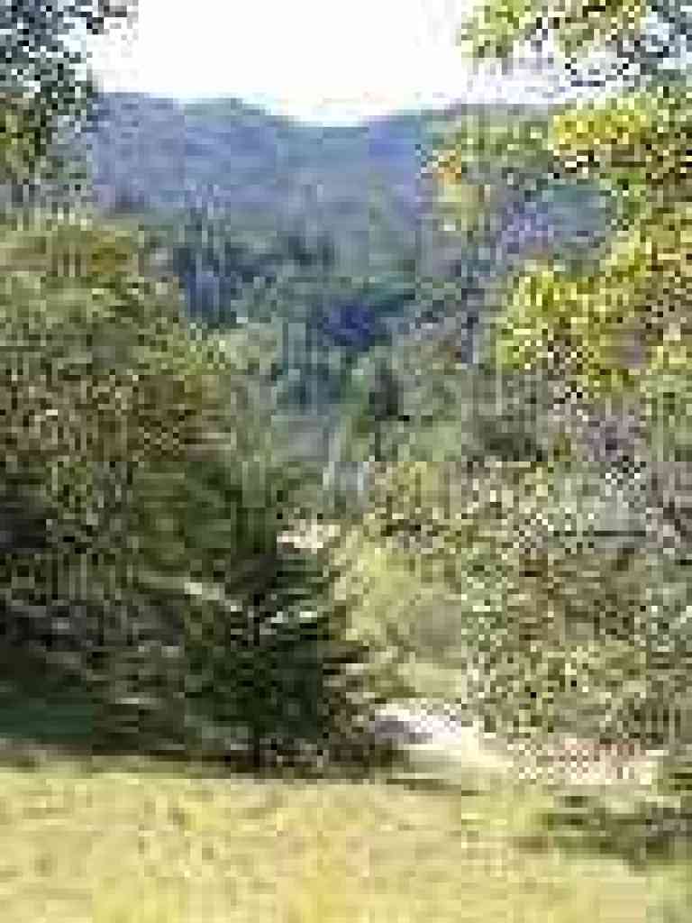 View downhill