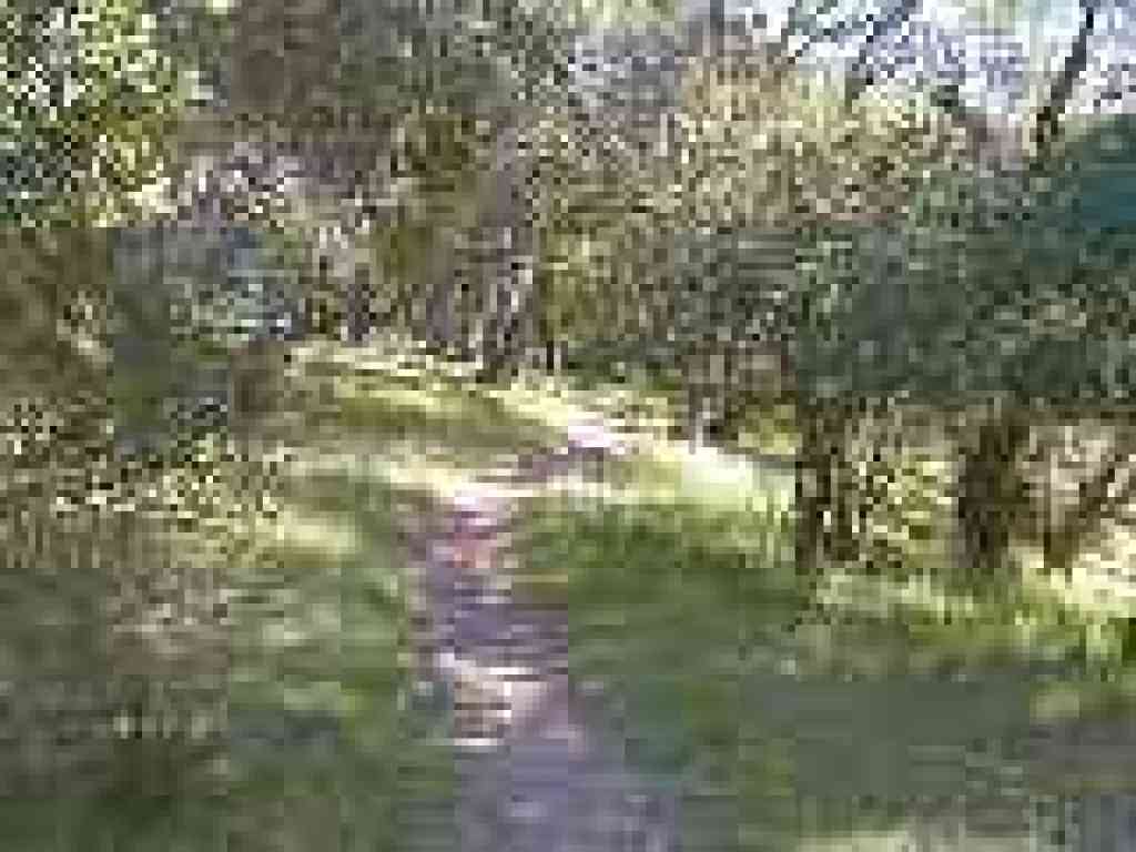Pilot Knob Trail