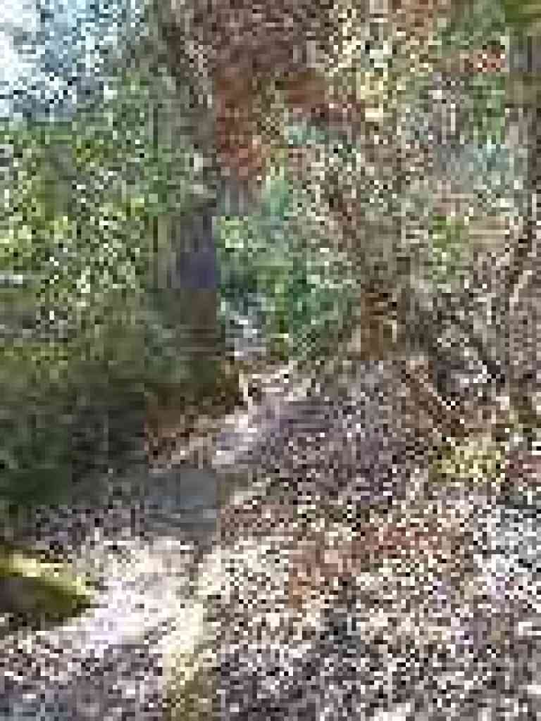 Trail narrows