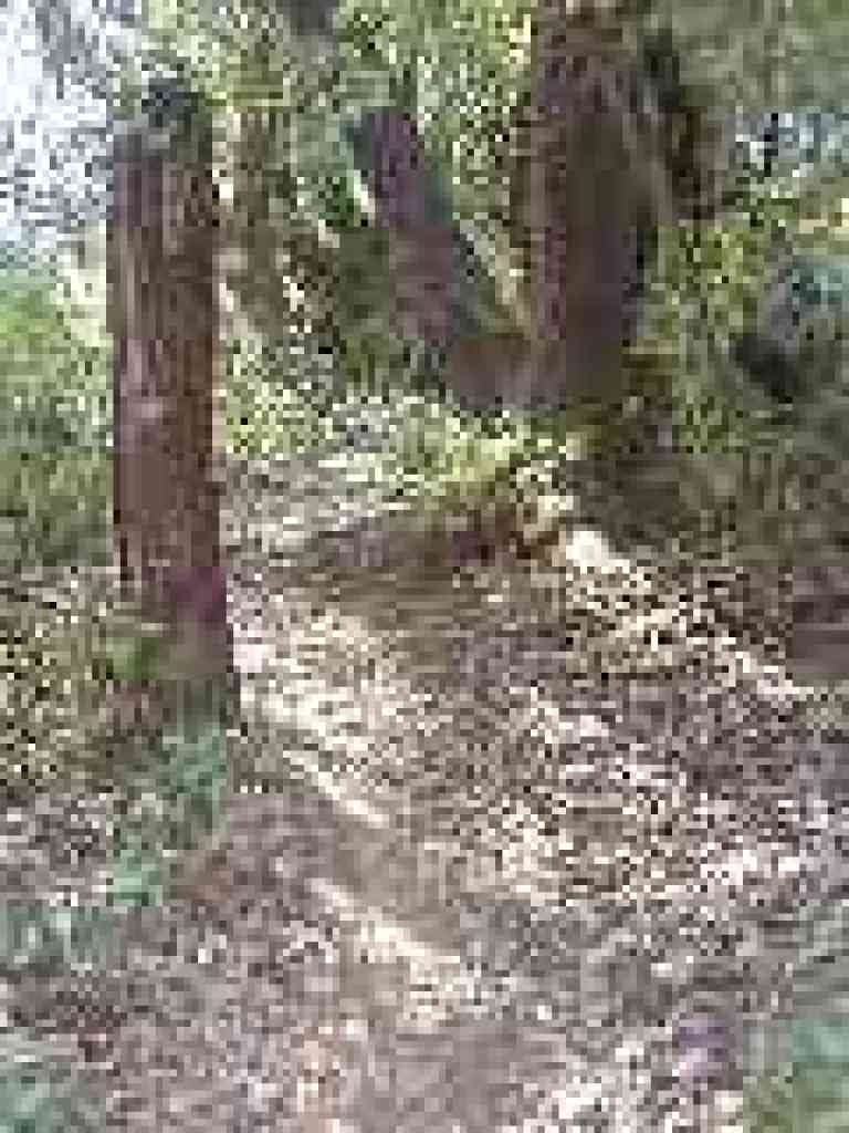 Path to Pilot Knob