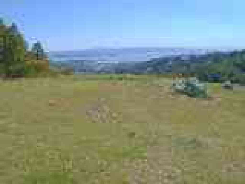 View east