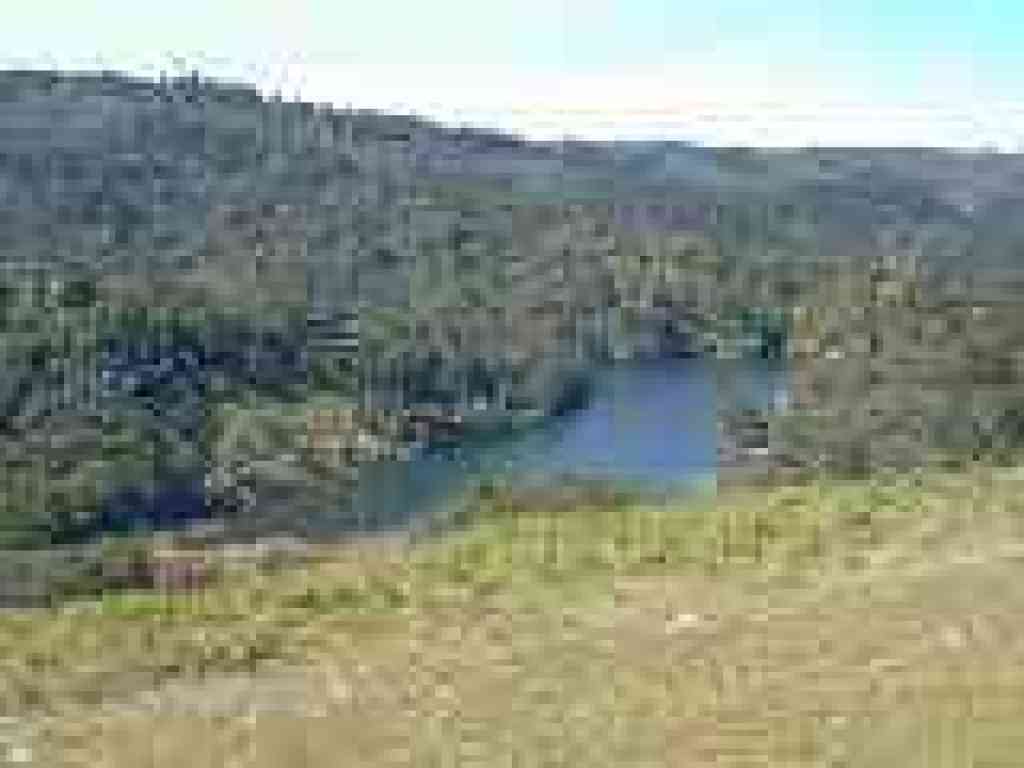 Lake Lagunitas