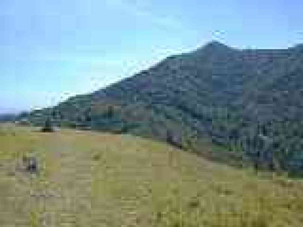 View of Tam from Pilot Knob