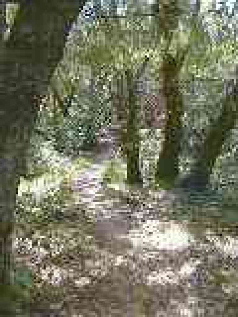 Pilot Knob Trail