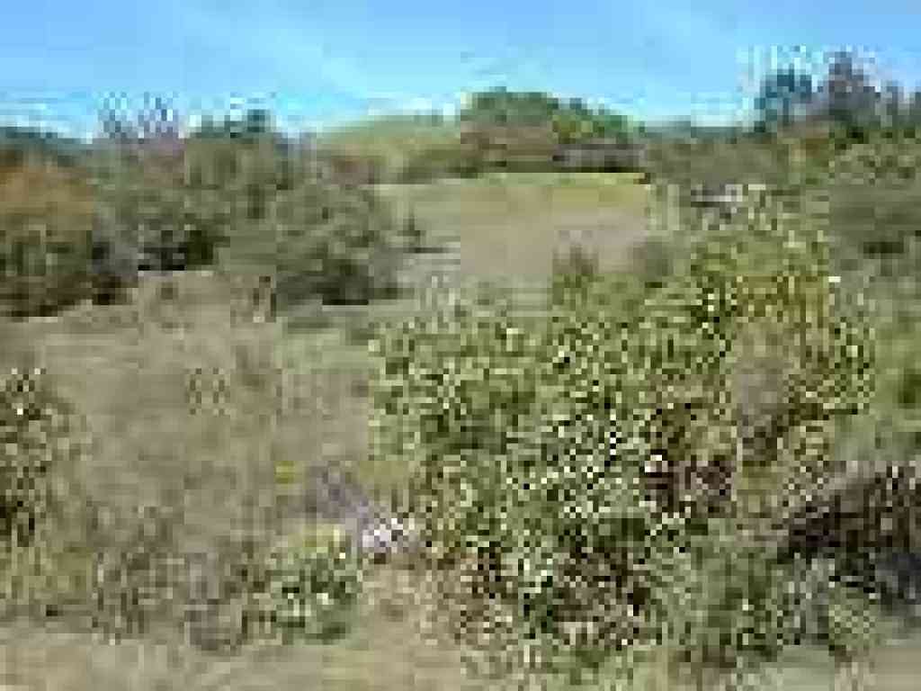 Looking to Pilot Knob