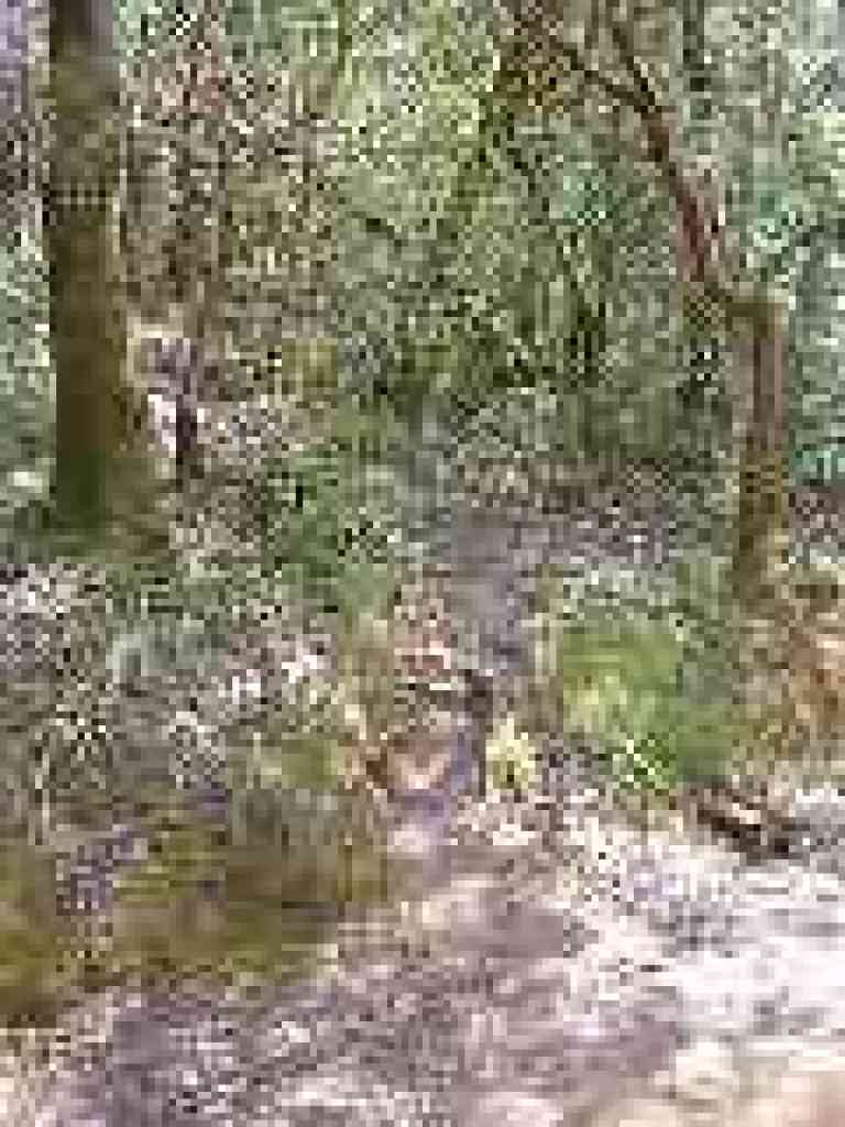 Junction