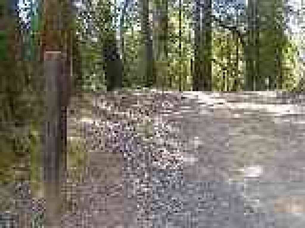 Junction
