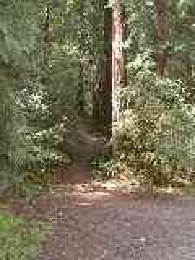 Side trail