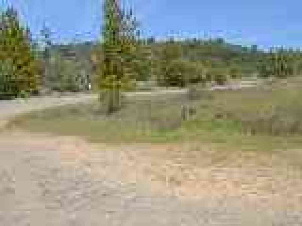 Near Bon Tempe Lake
