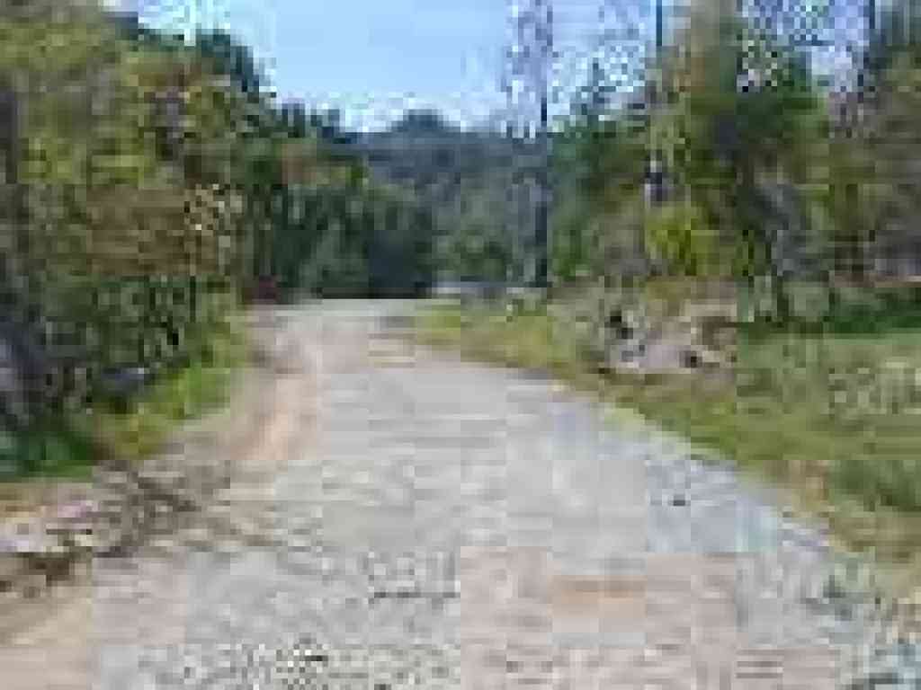 Bon Tempe Trail