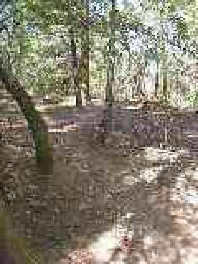 Trail