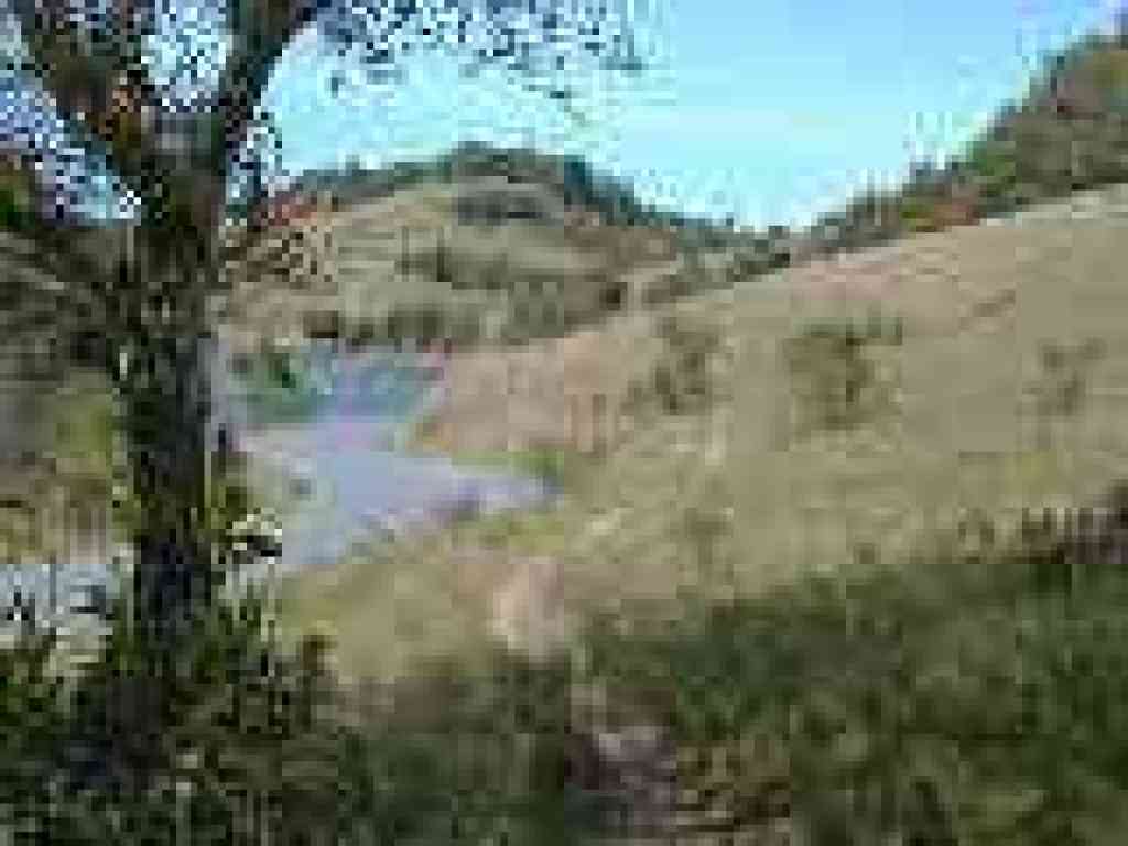 Sky Oaks-Lagunitas Trail