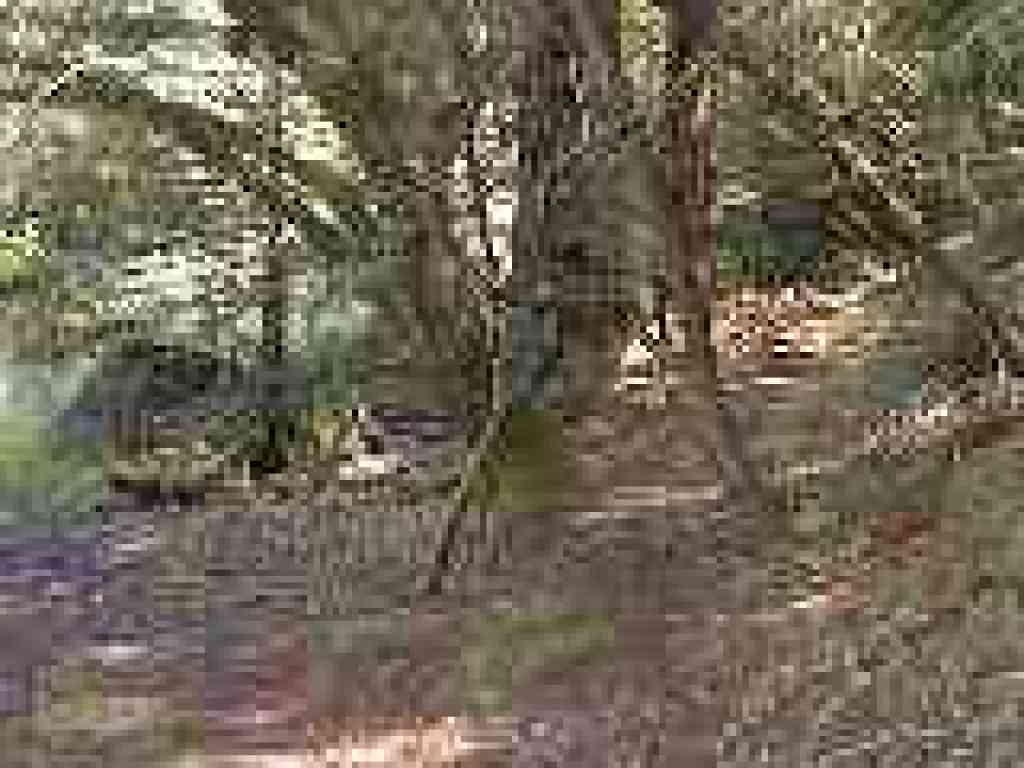 Side Trail