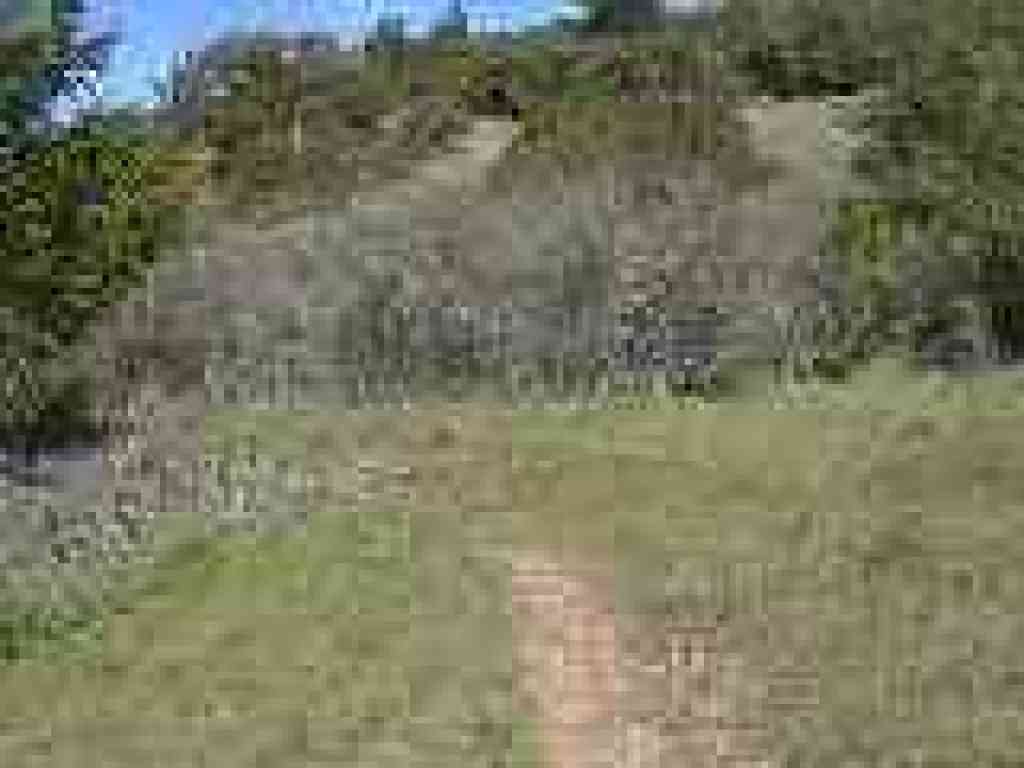 Junction with Madrone Trail