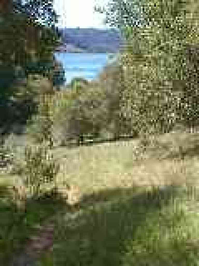 View back to Bon Tempe