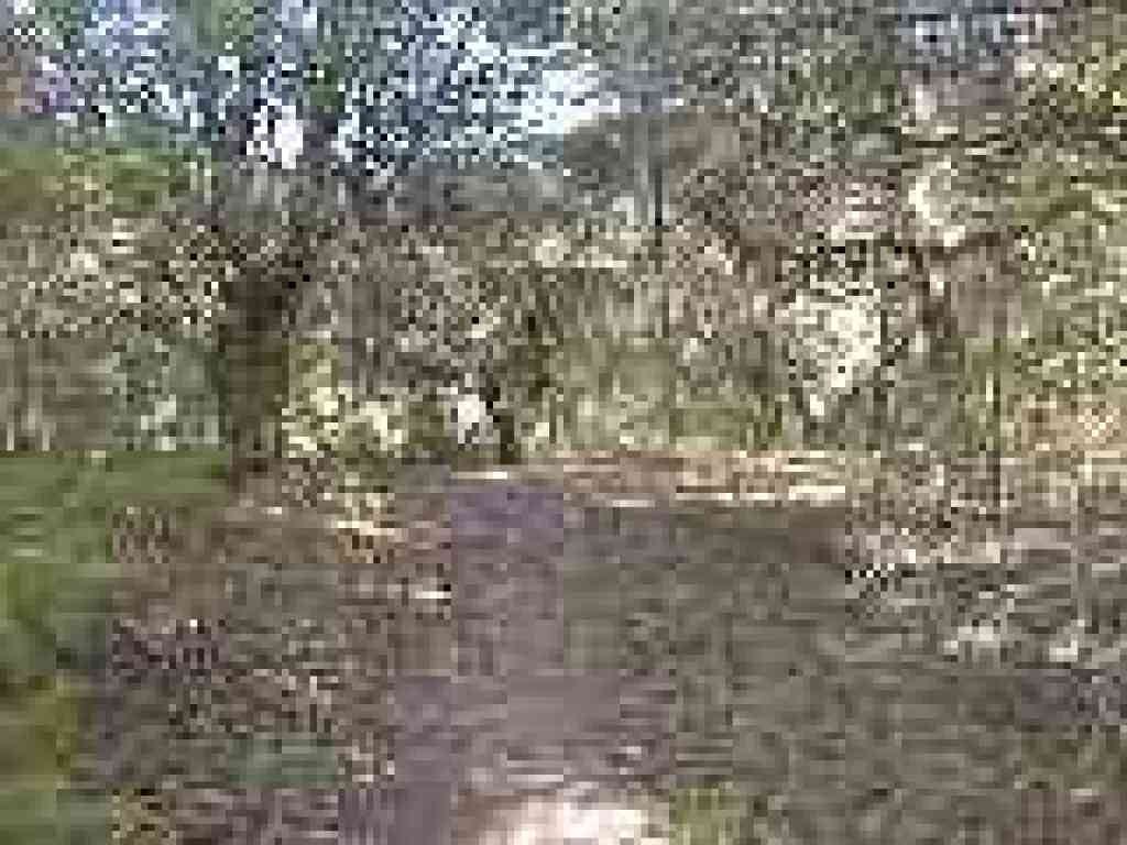 Junction