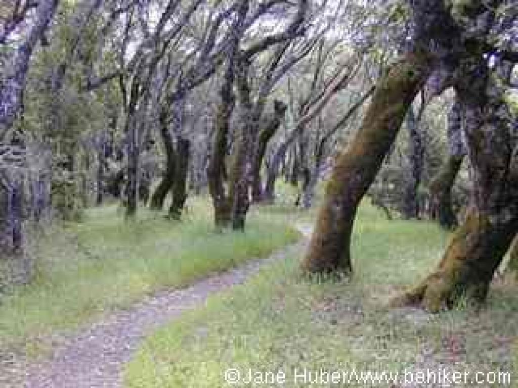 Pilot Knob Trail