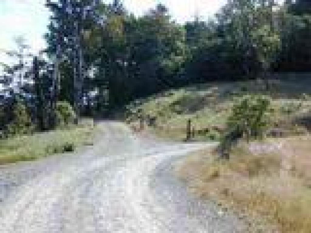 Junction
