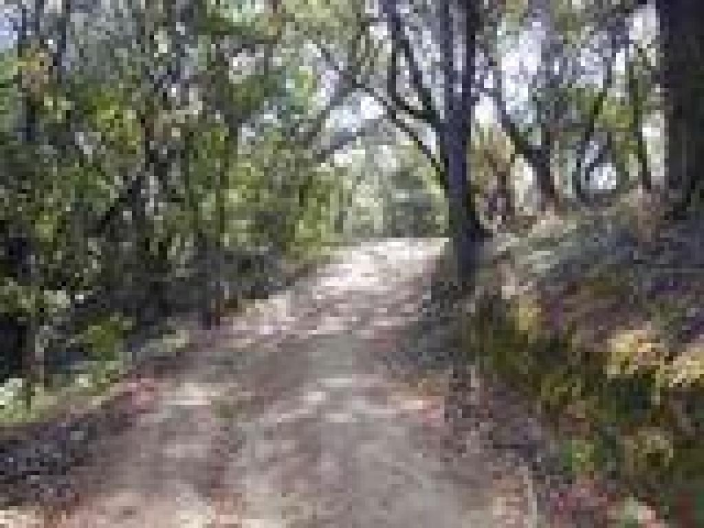 Approaching junction