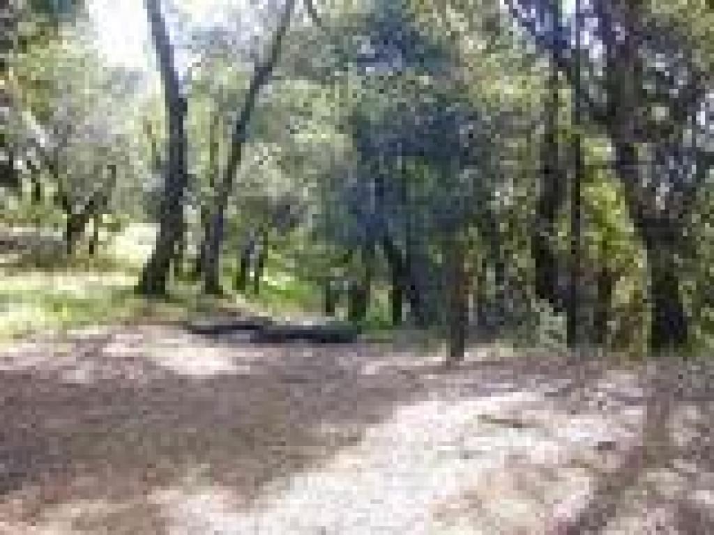 Start of Pilot Knob Trail