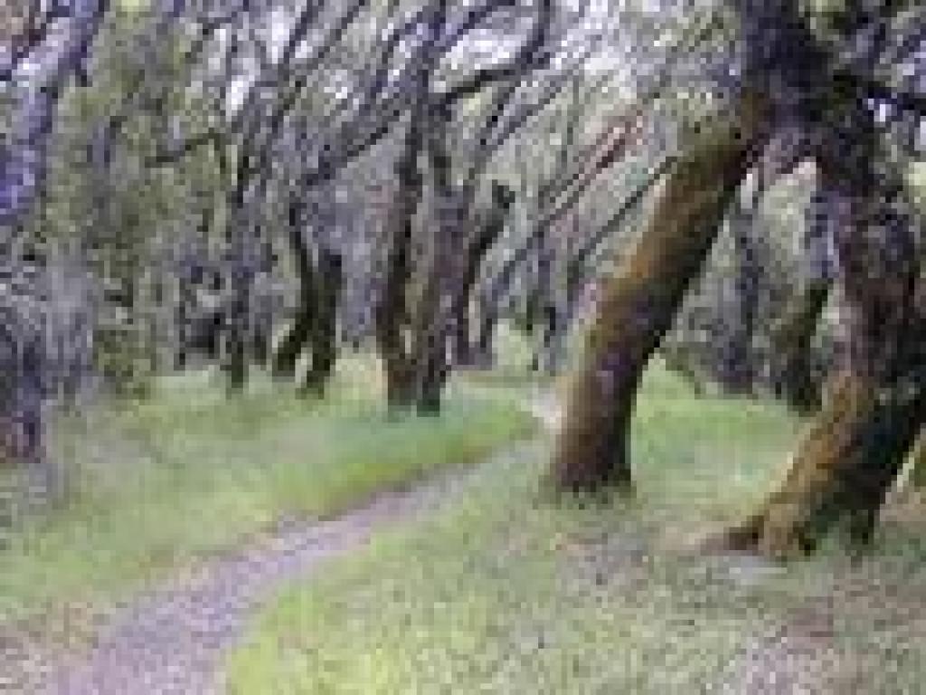 Pilot Knob Trail