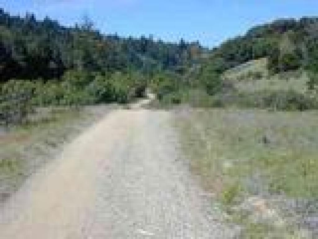 Lakeview Fire Road