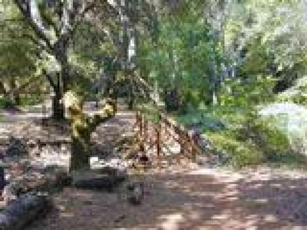 Bridge