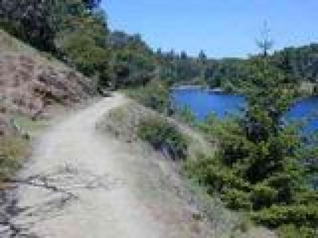 Lagunitas Fire Road