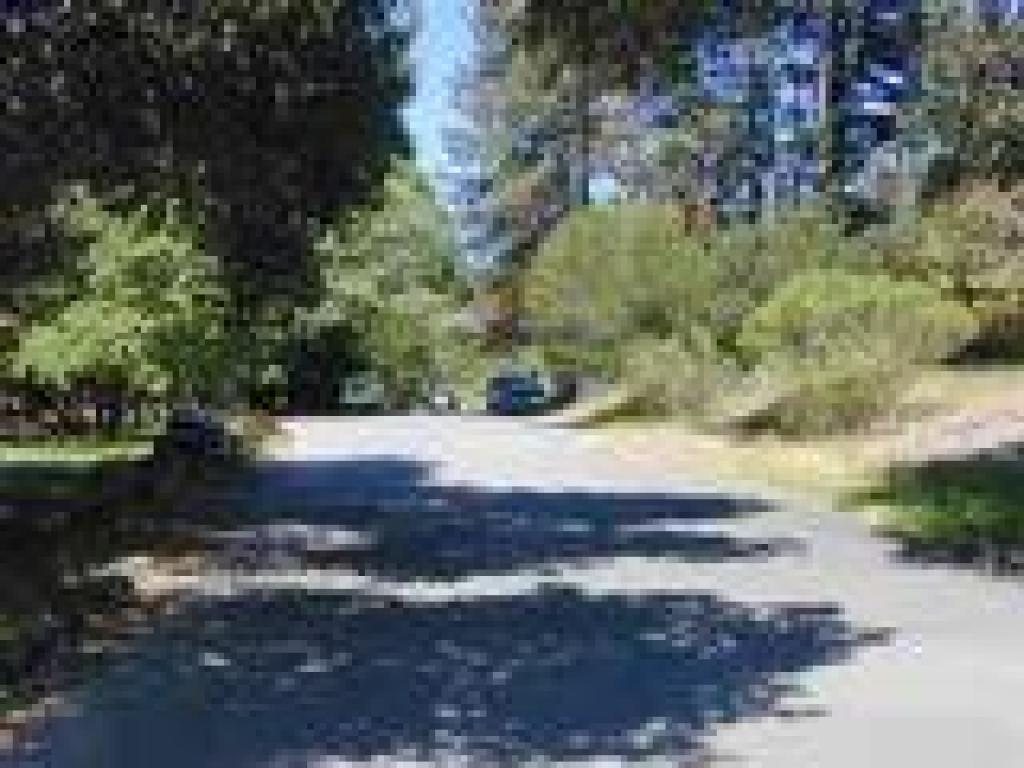 Along the trailhead road
