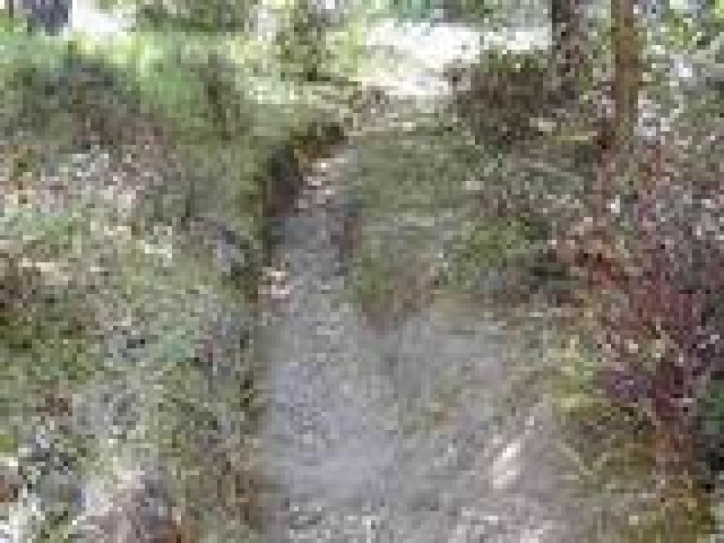Trench-like section