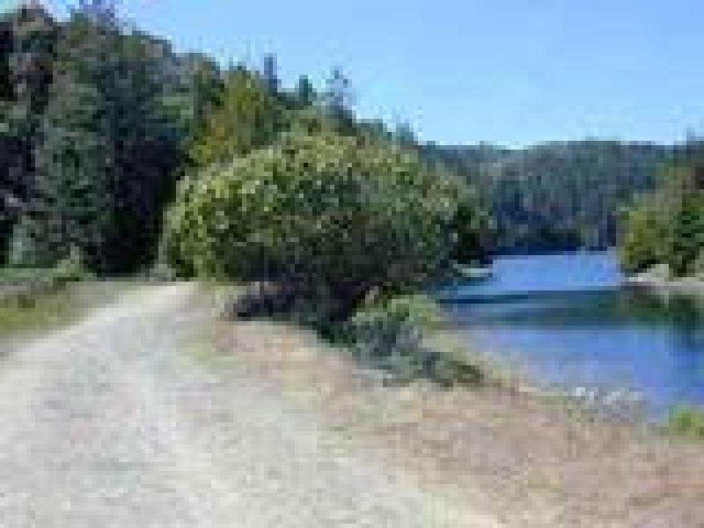 Returning, along Bon Tempe Lake