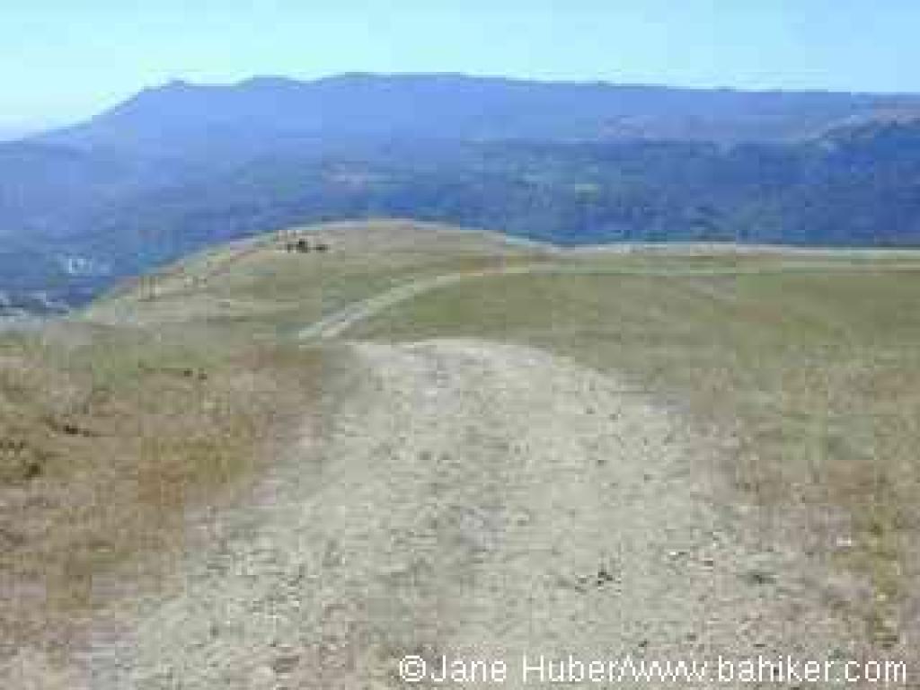 At the top of Loma Alta, with a view to Mount Tam