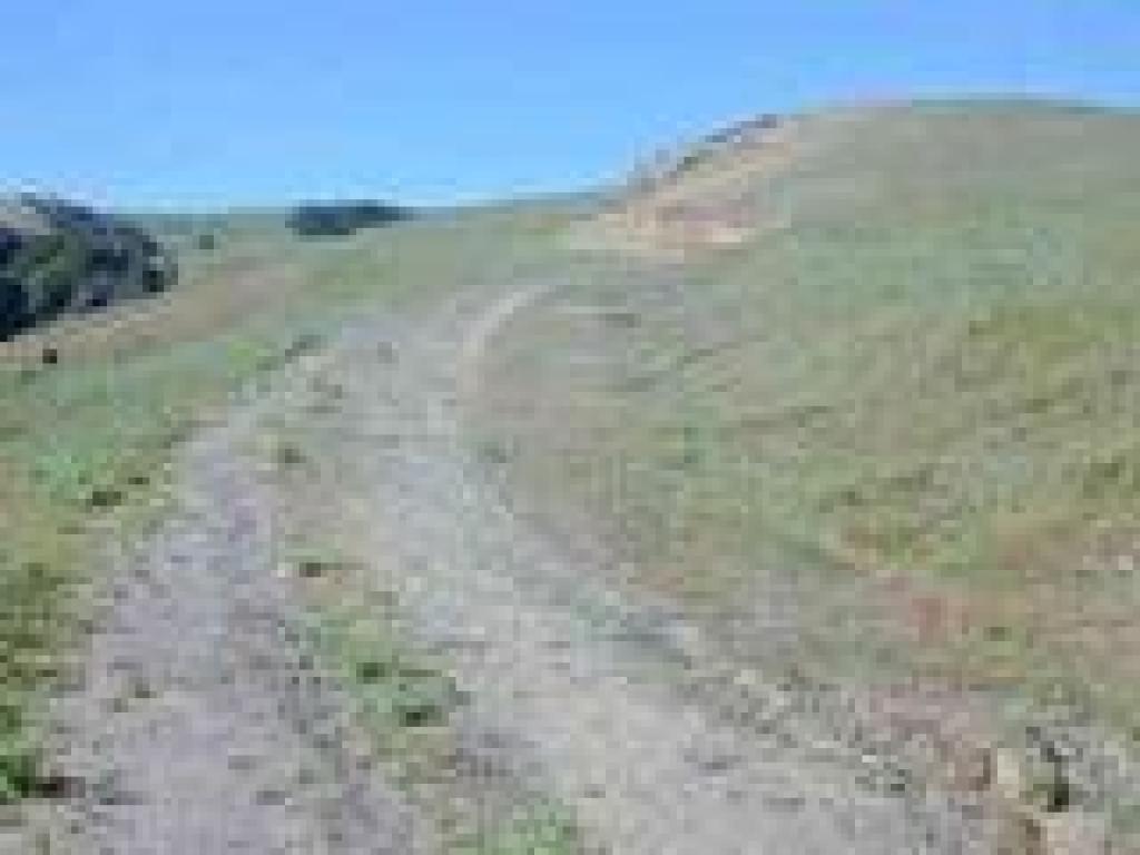 The steady ascent