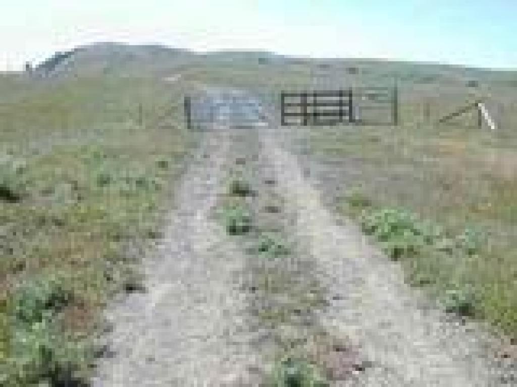Gate