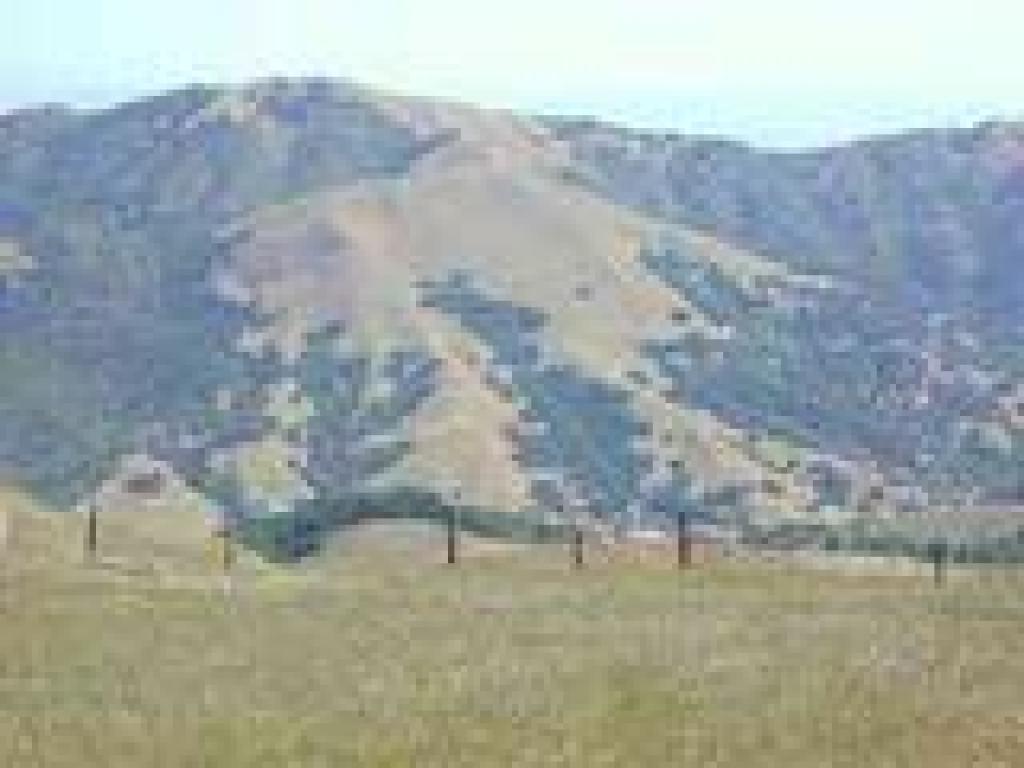 View to Lucas Valley Open Space Preserve